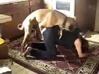 Beastie gal got dry humped by dog's hard cock